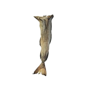 Stockfish séché à vendre - Qualité et variétés disponibles - Product Image 2