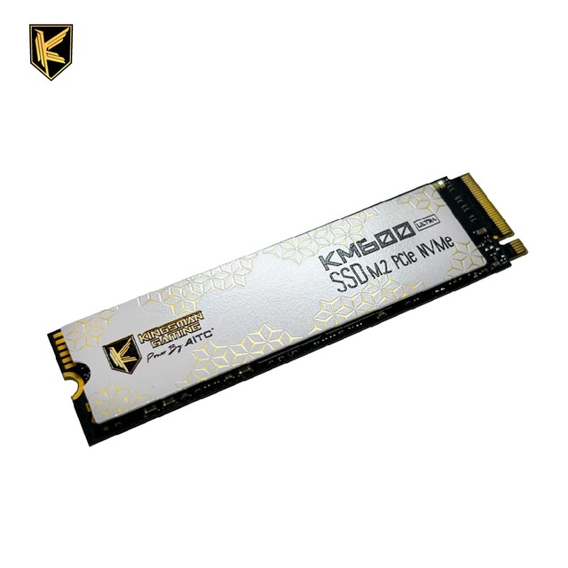 256GB Internal M.2 SSD Gen3X4 NVMe with 3300MB/s Read/3000MB/s Write for PC