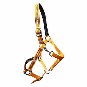 OEM diseño personalizado occidental silla ecuestre Nylon caballo Halter al por mayor en correas - Product Image 5