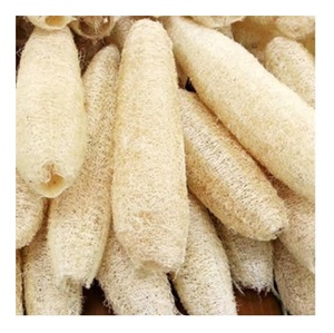 Lufa lufa cruda de alta calidad de Vietnam-mejor precio Luffa 100% natural barato con estándar de exportación - Product Image 1