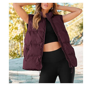 Nouvelle veste oversize pour femmes, automne-hiver, en peluche, chaude, veste unie avec poche, fermeture éclair, sans manches - Product Image 6