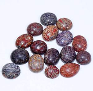 100% hueso de dinosaurio Natural piedra preciosa suelta al por mayor cabujón piedra preciosa suelta Natural piedra preciosa suelta para uso fabricación de joyas - Product Image 3