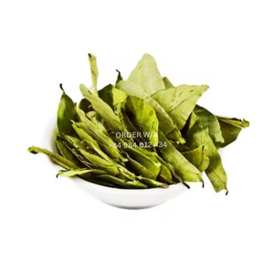 Prix d'usine 100% feuilles de graviola séchées naturelles pour les soins de santé du Vietnam - Product Image 5