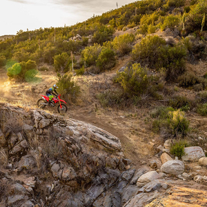 Hondaa CRF 450RX 2024 - Product Image 3