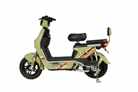 Vélo Électrique Adulte CCT 02 Iron Man 500W avec Moteur Sans Balais en Cuivre Pur, Pneus Tubeless 14x2.75, Écran LCD et Système Antivol Électronique pour la Ville