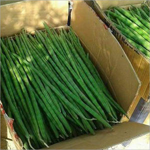 Légumes frais biologiques de qualité supérieure en vente - Product Image 1