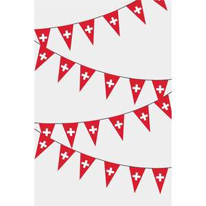 Drapeau triangulaire personnalisé 3x5 pieds pour la Suisse, guirlande imprimée numériquement sur coton, plastique, soie avec logo personnalisé pour l'industrie automobile - Product Image 1