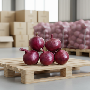 Oignons Rouges Biologiques Frais de Qualité Supérieure, Sacs de 25 kg, Non Pelés, Origine Allemagne, Prêts à l'Expédition à Prix Compétitif - Product Image 1