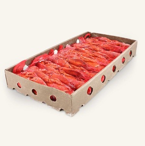 Homard surgelé de qualité supérieure à prix avantageux / Queues de homard surgelées à vendre / Homards frais vivants livrés express - Product Image 2