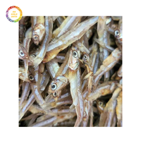 Anchois séchés de qualité supérieure de haute qualité Vietnam emballage en vrac de petit poisson de bon goût prix d'usine IQF compétitif pour l'exportation
