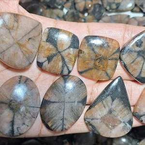 Cabujones de chiastolita de grado AAA, piedras preciosas de jaspe de buena calidad en formas de mezcla de piedra Natural verde, piedras preciosas sueltas al por mayor - Product Image 1