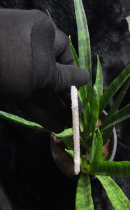 Colgante de Moissanita Redonda con Corte Brillante para Hombre, Chapado en Rodio con Piedras Transparentes, Estilo Hip Hop de Lujo - Product Image 3