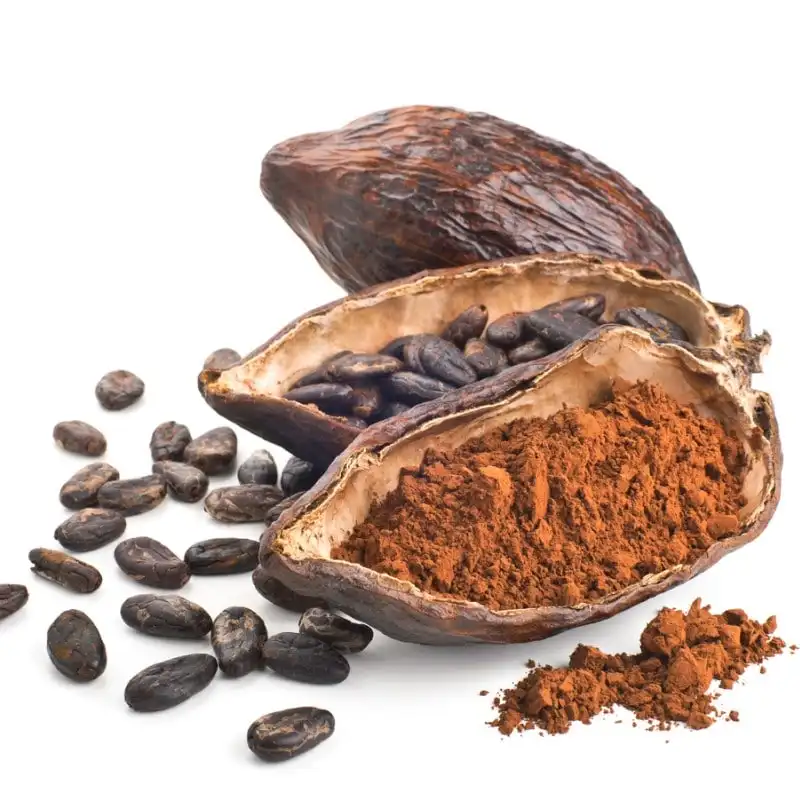 export and import cocoa premium quality High fat cocoa \High Quality Brazil Cocoa Beans - Cacao Beans - Chocolate bean