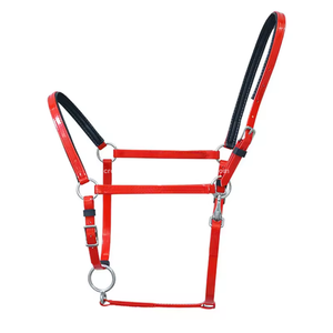 Nouveau modèle de bride de cheval de haute qualité pour l'endurance, conçue sur mesure, en cuir, pour l'équitation et les courses de chevaux, style western - Product Image 4