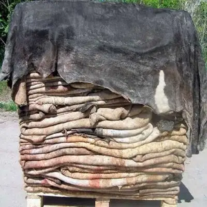 Peaux et cuirs de vache et de mouton en gros à vendre, export en vrac disponible, peaux/cuirs kenyans salés humides de haute qualité approuvés - Product Image 4