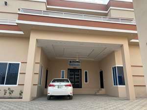 Germed Enterprises-Elevadores periósticos de Langenbeck de acero inoxidable para hospitales y clínicas - Product Image 5