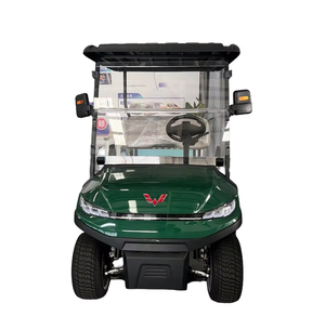 E1ectr1c 2ที่นั่ง Cert1f1ed H0t Wu11ng รถเข็น48vss 0EM Se111ng รถเข็น2ที่นั่ง - Product Image 2