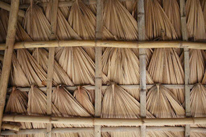 ของตกแต่งหลังคาต้นมะพร้าวใบปาล์มผลิตภัณฑ์ทางการเกษตรที่หรูหรา - Product Image 4