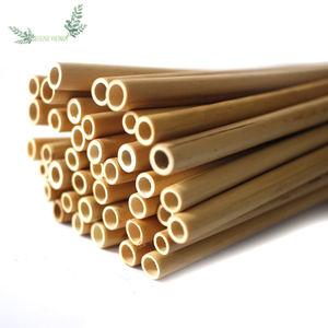 Vente en gros de pailles et de pailles en bambou biodégradables avec des pailles en bambou naturel de Eco2go Vietnam - Product Image 1