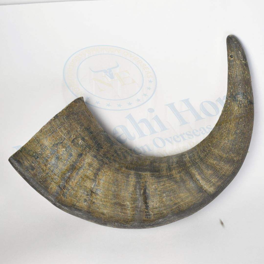 Natural Horn Color