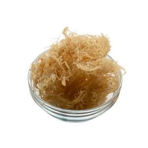 มอสทะเลแห้งธรรมชาติ-เหมาะสำหรับสมูทตี้บำรุงผิวและสุขภาพแบบองค์รวม! - Product Image 3