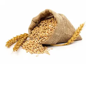 Chicchi di grano tenero e duro/frumento tenero di alta qualità