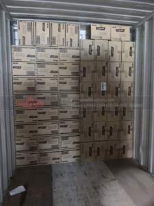 ชุดแปรงสีฟันด้ามพลาสติก12X12แผ่นนุ่มพิเศษสำหรับใช้ในบ้านผู้ใหญ่ส่งออกจากเวียดนาม - Product Image 3