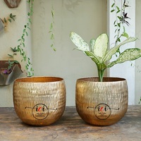 Pot de fleurs en aluminium doré sur mesure, design texturé en relief, logo personnalisé, emballage personnalisé, nouvelle arrivée, pot de fleurs pour la maison et le jardin