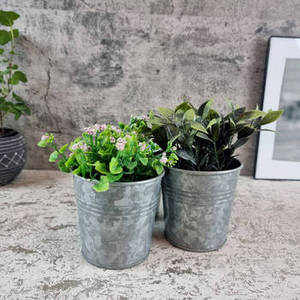 Maceta Doble de Metal Galvanizado con Asa de Transporte, Macetas Rústicas para Hierbas y Flores de Interior y Exterior, Venta al por Mayor - Product Image 5