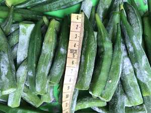 Okra congelada IQF de grado premium entera y cortada de Vietnam con el mejor precio - Product Image 2
