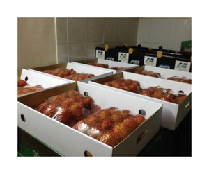 เงาะแช่แข็งราคาดีสำหรับผู้นำเข้าเงาะแช่แข็งจากเวียดนามมีรสชาติแบบเขตร้อนสดและเนื้อนุ่มชุ่มฉ่ำ - Product Image 4