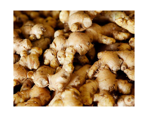 Fresh Young Ginger New Crop Agriculture <b>GAP</b> Certified Germany Wholesale Supplier PVC Box 25kg Ready Eat - Product Image 3