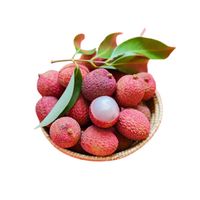 Vietnamese biologische lychee, hoge kwaliteit, vers, sappig, zoet, rode schil, Luc Ngan export, groothandel, OEM beschikbaar, 10 kg/doos, premium Minh