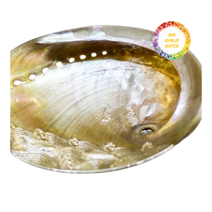 Plato de concha de nácar pulido, plato de comedor hecho a mano de Vietnam artesanal - Product Image 4