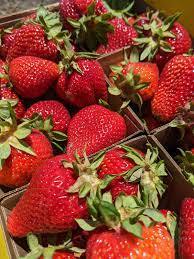 Fraises fraîches de luxe de qualité supérieure, prix de gros abordable, provenance du Pérou, en vente - Product Image 3