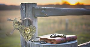 Brass Skull Door Lock Padlock Premium Quality Duty Safety Antique Simple and Attractive Look Pad Lock Sets Keys - Product Image 6