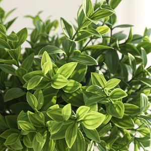 Feuilles de <span class=keywords><strong>vanille</strong></span> artificielles, bouquet de verdure artificielle, plante artificielle pour la décoration de la maison et des mariages - Product Image 5