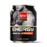 Energie getränk in Dosen mit Ginseng 250ml Trobico Beverage OEM Private Label Hochwertiges Produkt