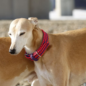 Cordell Collar de perro de lujo hecho a mano moderno elegante Paracord impermeable con liberación rápida ajustable suave para un ajuste cómodo - Product Image 5