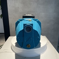 Jet100 pompe à Jet d'eau auto-amorçante haute pression 0,5 hp, 1hp, Irrigation de jardin domestique