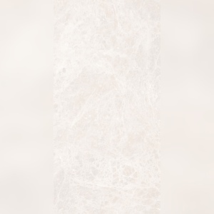 Dalles vitrifiées brillantes Safari Adventure 600x1200mm, durabilité sauvage pour les lodges, les camps et les éco-lodges - Product Image 6