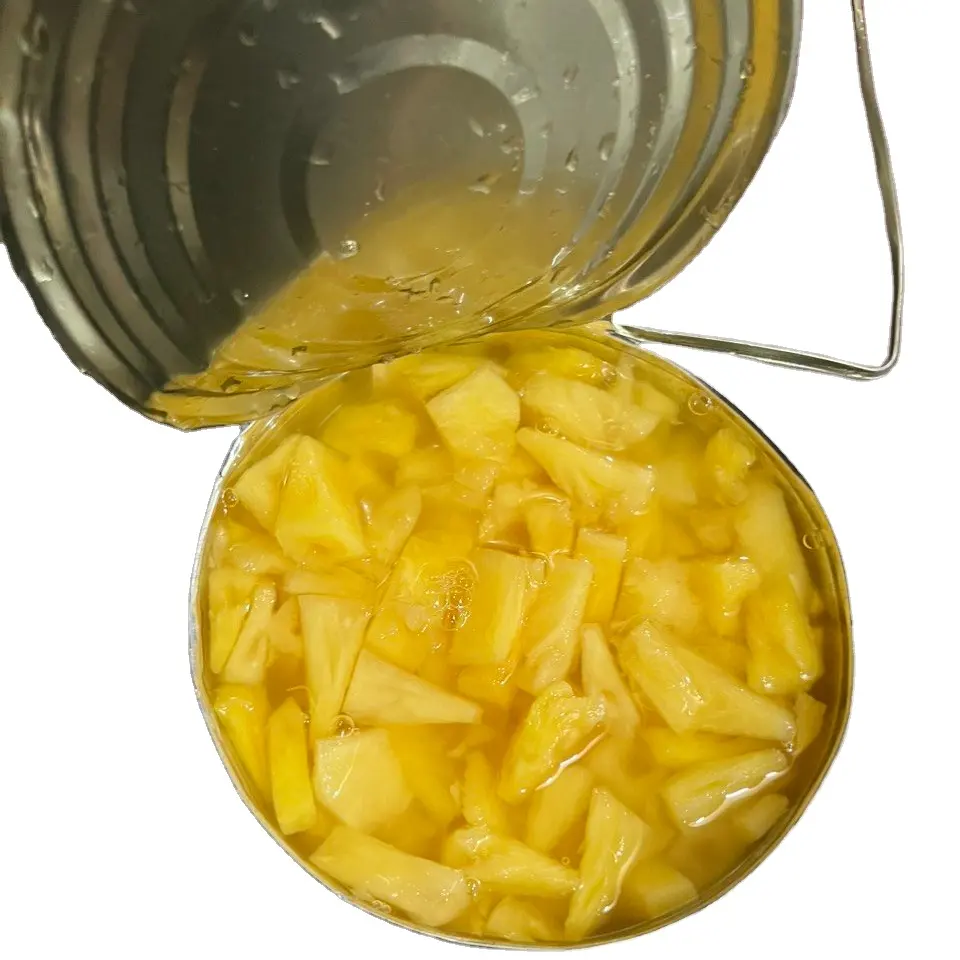 Haute qualité et moins cher-Ces tranches d'ananas en conserve sont parfaites pour grignoter ou ajouter aux salades, pizzas ou plats grillés