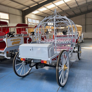 Carrozza nuziale 2025/moda nuovo prodotto trasporto speciale carrozza/auto per vacanze turistiche in vendita a prezzo speciale - Product Image 5