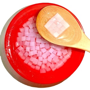 Nata de Coco Crue Faible en Gras Origine Vietnam Carton de 20 kg Taille Uniforme et Haute Qualité pour la Production de Boissons - Product Image 2