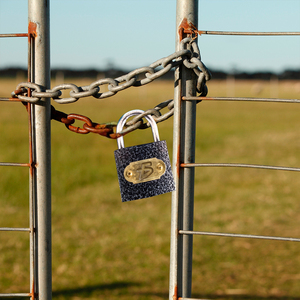 Lucchetto di Sicurezza Rinforzato in Ferro con Gancio Corto 38mm con Funzione a Chiave - Product Image 4