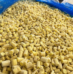 Maíz bebé congelado IQF premium de Vietnam |   Maíz Fresco y Tierno |   Proveedor de Exportación a Granel - Sr. Alex Truong - Product Image 3