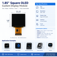 Écran OLED carré personnalisé 1,85 1,97 2,07 2,4 pouces, module d'écran rigide LTPS OEM ODM pour œil de robot, visage, maison intelligente