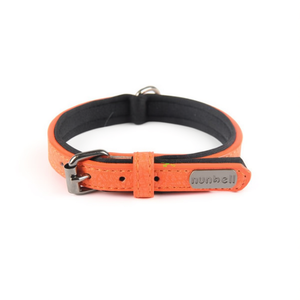 Collare per Cani Imbottito in Neoprene PU per Animali Domestici - Product Image 2