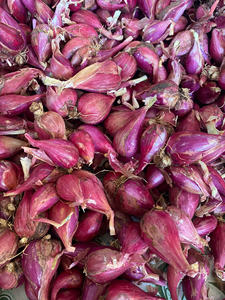 Anneaux d'échalote congelés | Ingrédient aromatique | Usine du Vietnam - Product Image 4