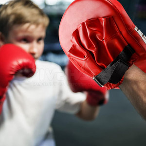 High Quality Boxing Punching <b>Focus</b> <b>Pads</b> Wholesale MMA Boxing Punching Target <b>Focus</b> Punch <b>Pad</b> - Product Image 2